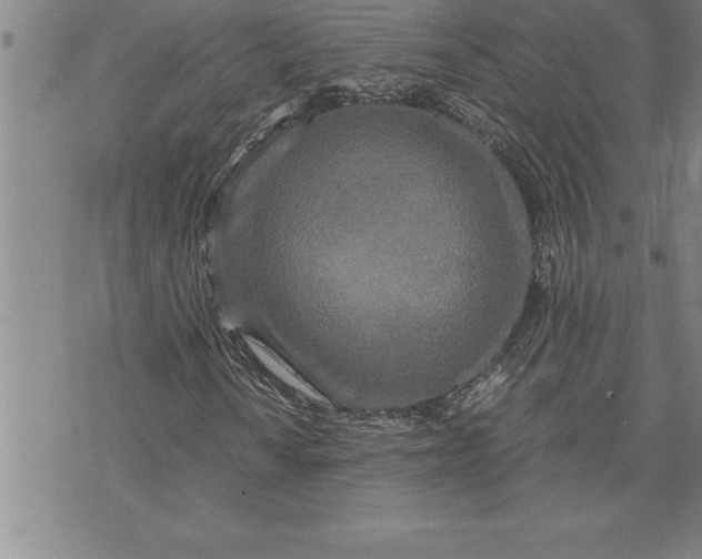 X0000071831010200607141655