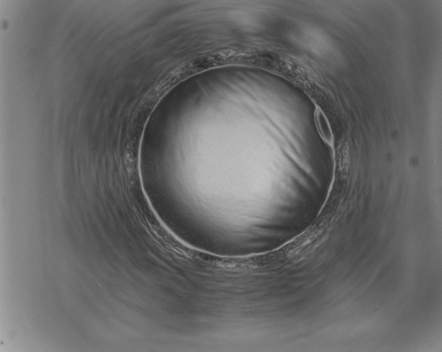 X0000071831011200607141655