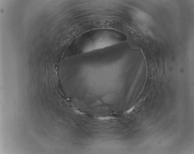 X0000071831013200607141655