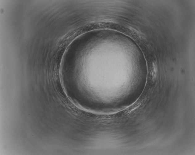 X0000071831014200607141655