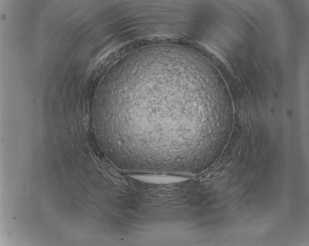 X0000071831015200607141655