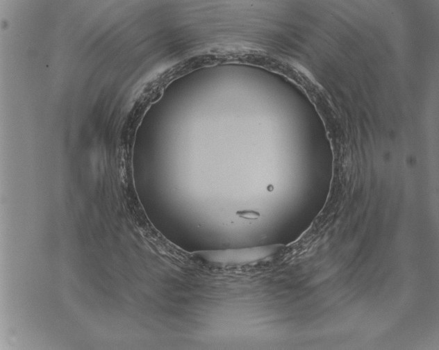 X0000071831016200607141655