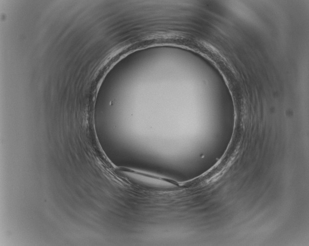 X0000071831017200607141655