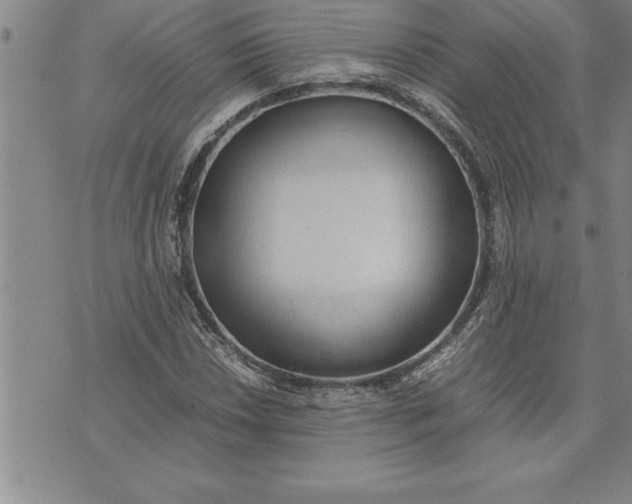 X0000071831018200607141655