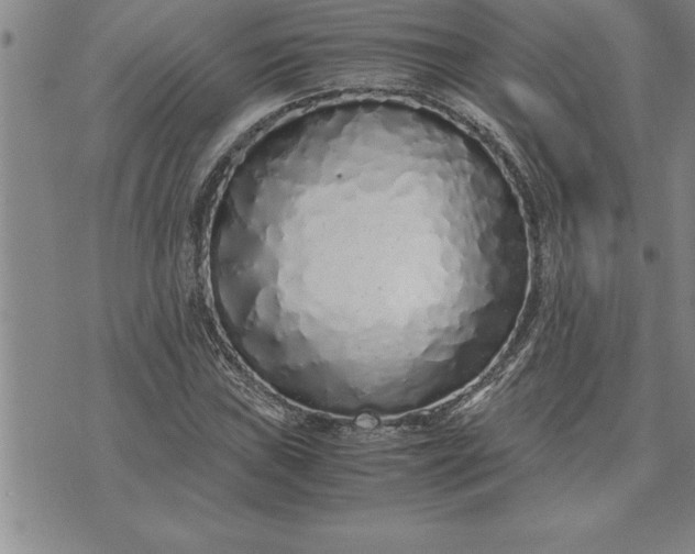 X0000071831019200607141655