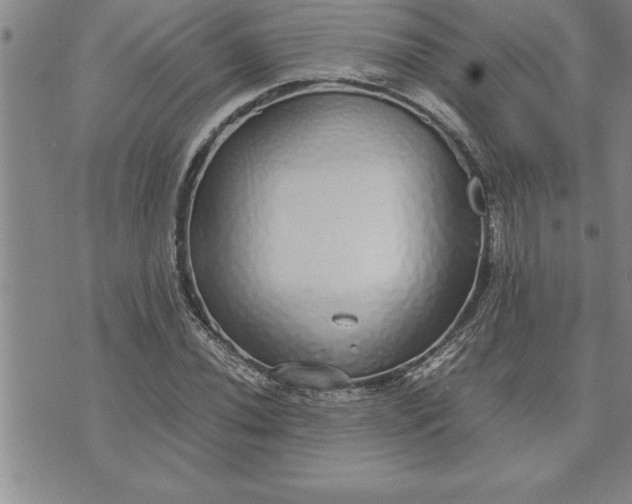 X0000071831020200607141655