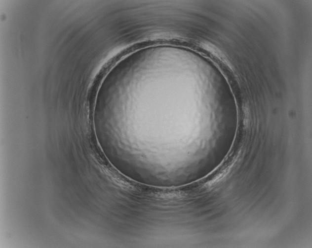 X0000071831021200607141655