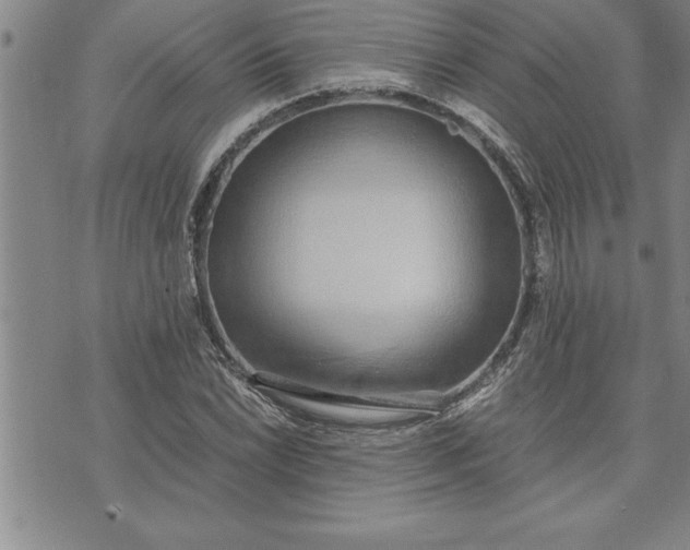 X0000071831022200607141655