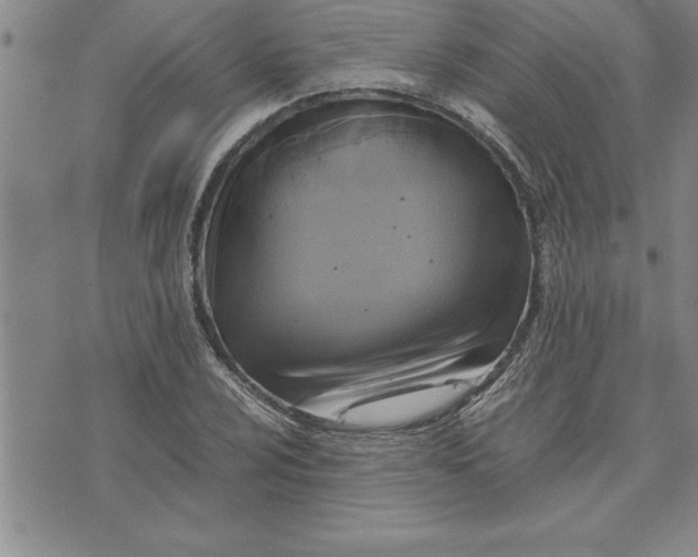 X0000071831024200607141655