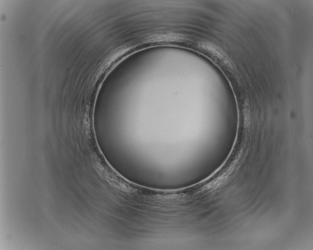 X0000071831025200607141655