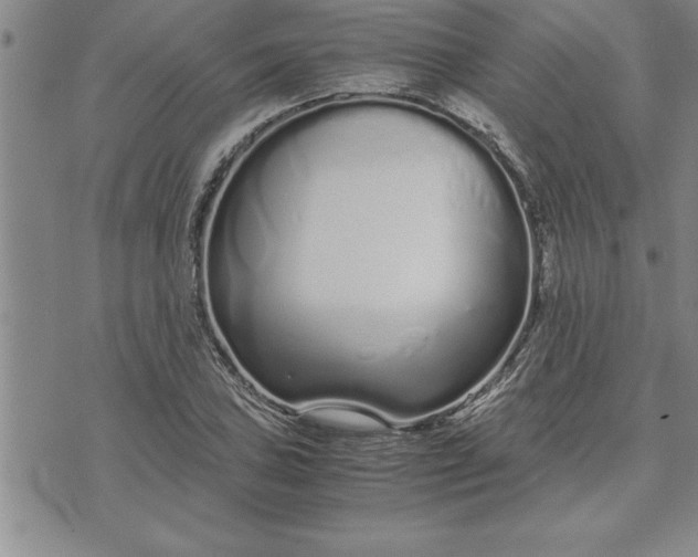 X0000071831027200607141655