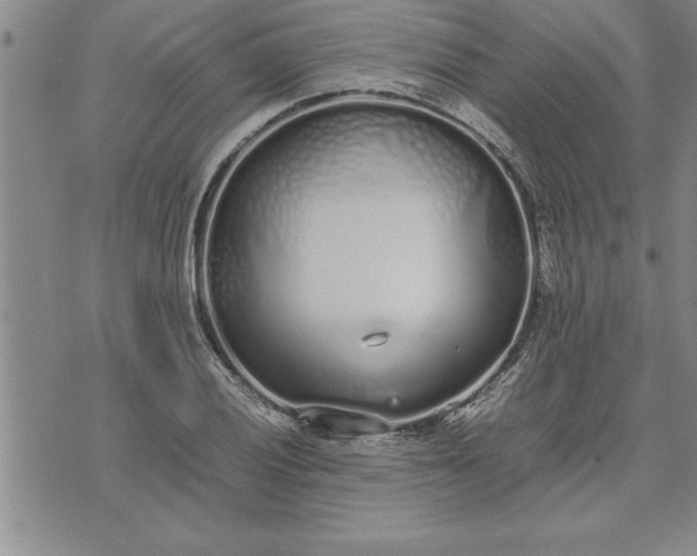 X0000071831028200607141655