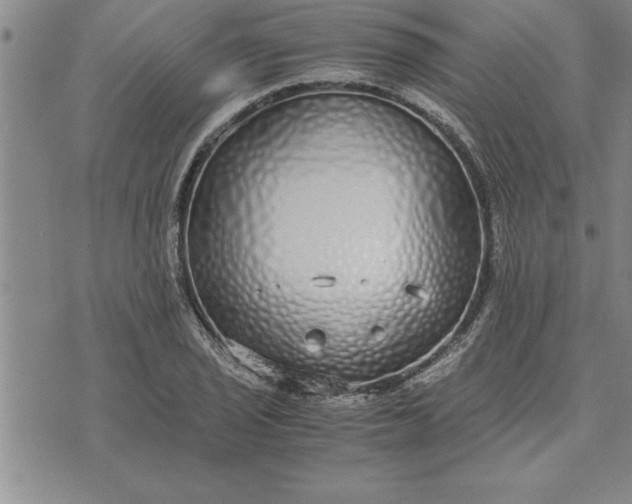 X0000071831029200607141655