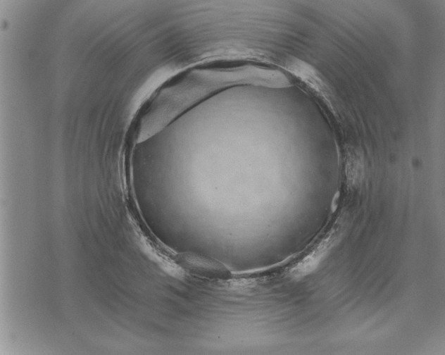 X0000071831030200607141655