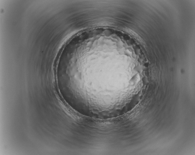 X0000071831031200607141655