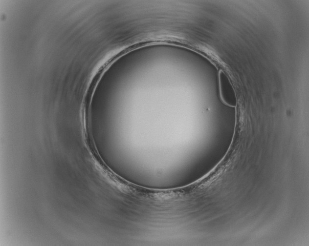 X0000071831032200607141655