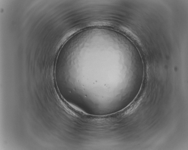 X0000071831033200607141655