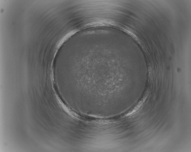 X0000071831034200607141655