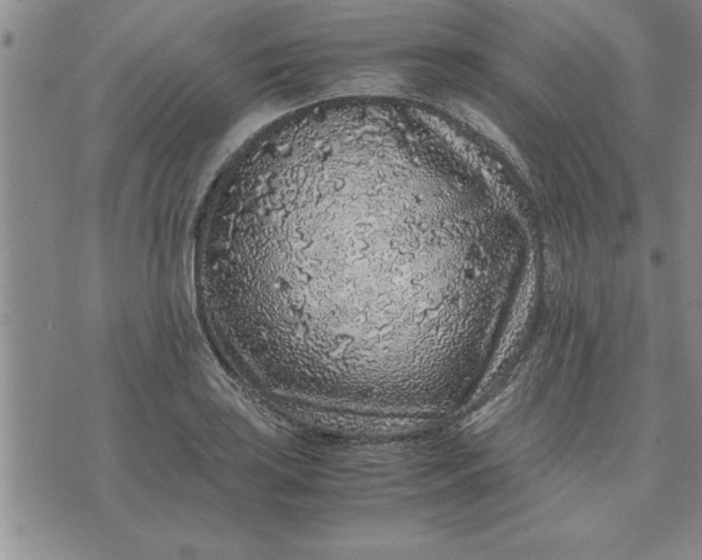 X0000071831035200607141655