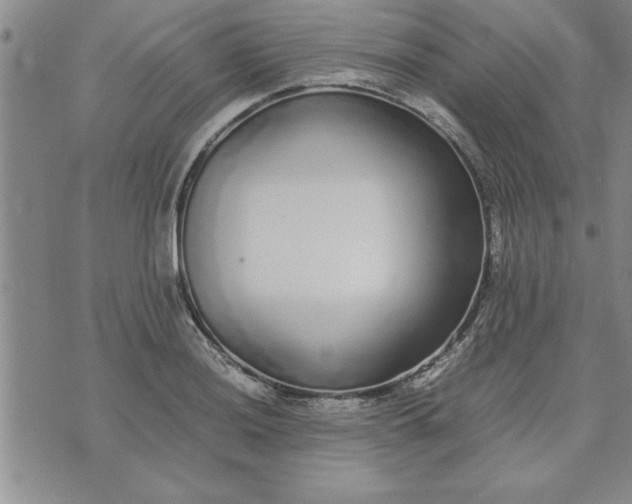 X0000071831036200607141655