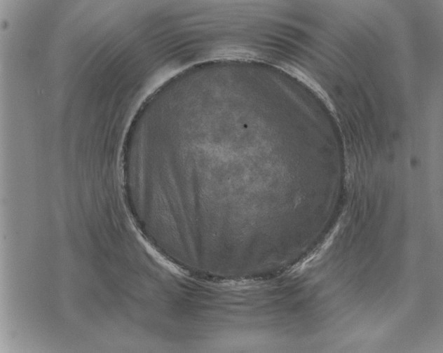 X0000071831037200607141655