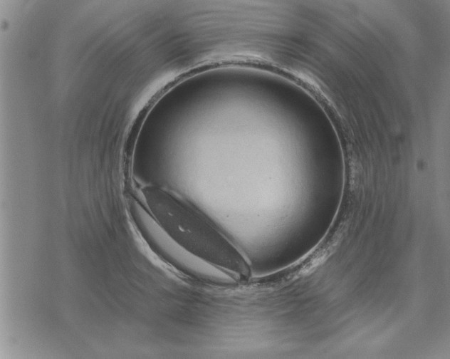 X0000071831038200607141655