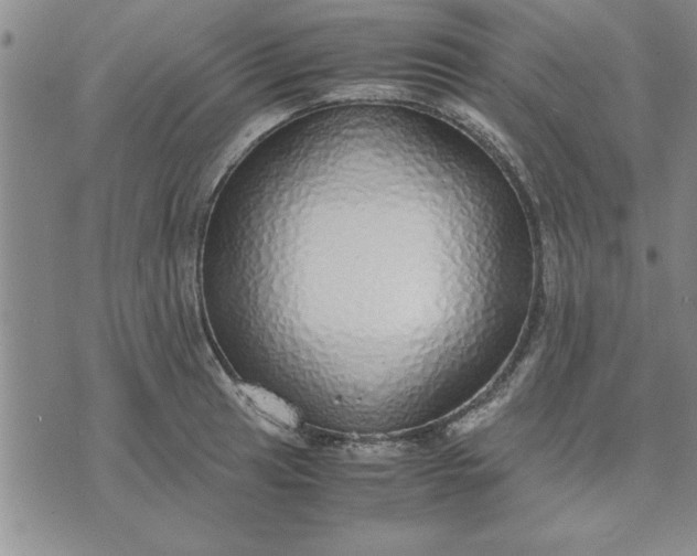 X0000071831041200607141655