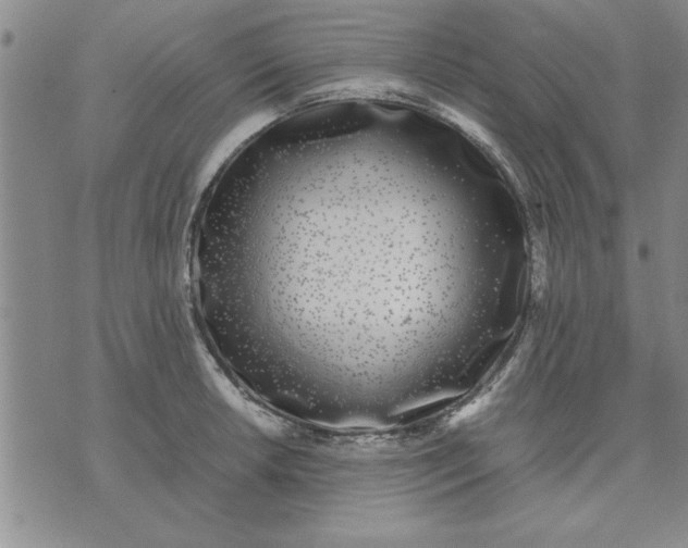 X0000071831042200607141655