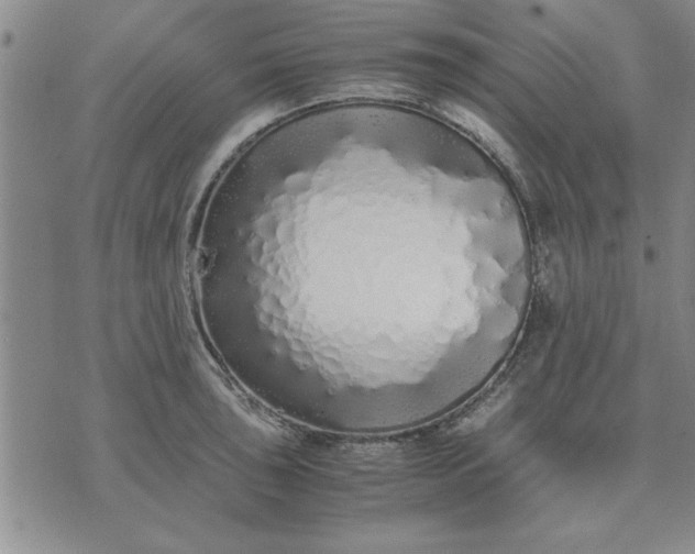 X0000071831043200607141655