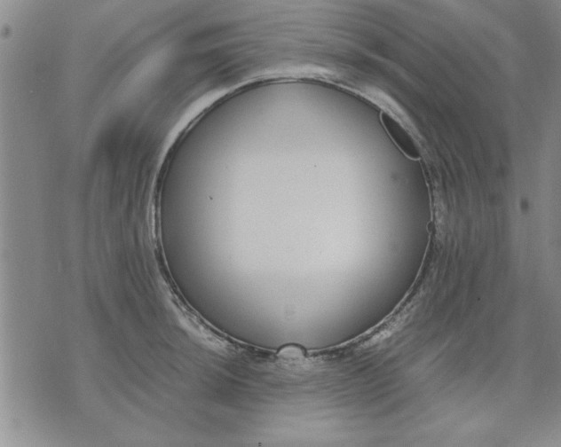 X0000071831044200607141655