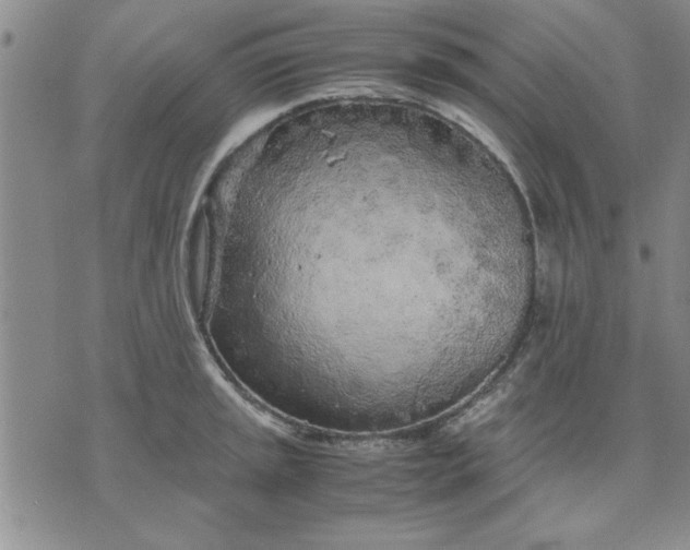 X0000071831045200607141655