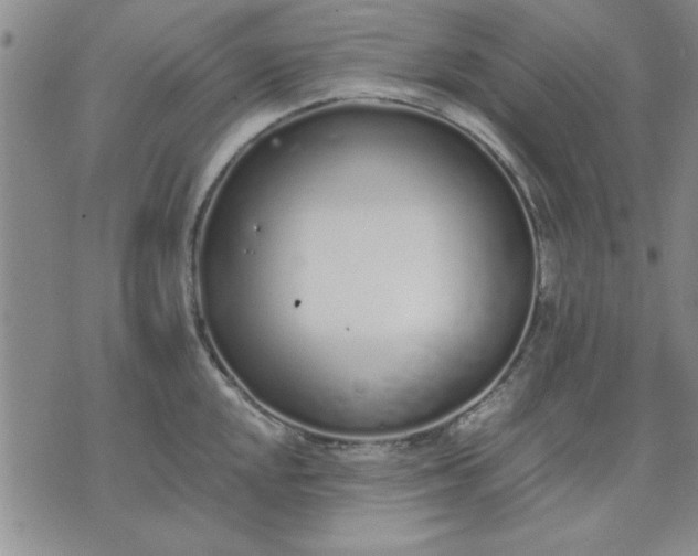 X0000071831048200607141655