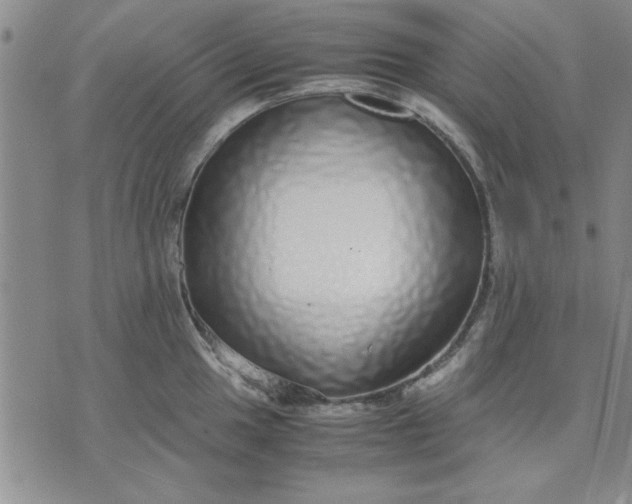 X0000071831049200607141655