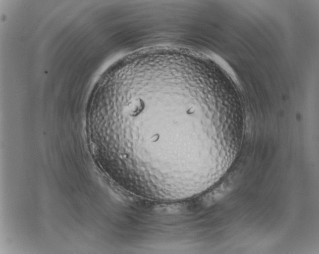 X0000071831051200607141655