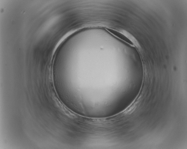 X0000071831052200607141655