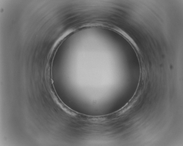 X0000071831053200607141655