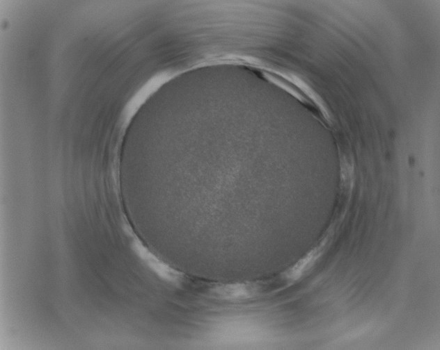 X0000071831054200607141655