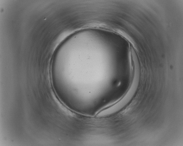 X0000071831055200607141655