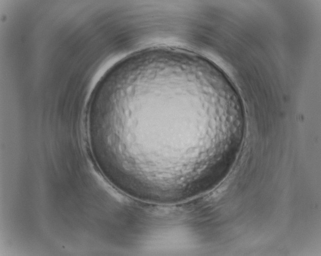 X0000071831056200607141655