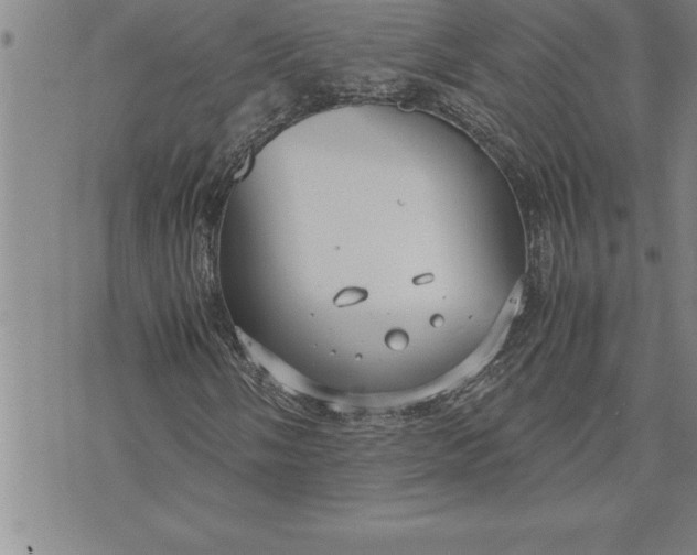 X0000071831058200607141655