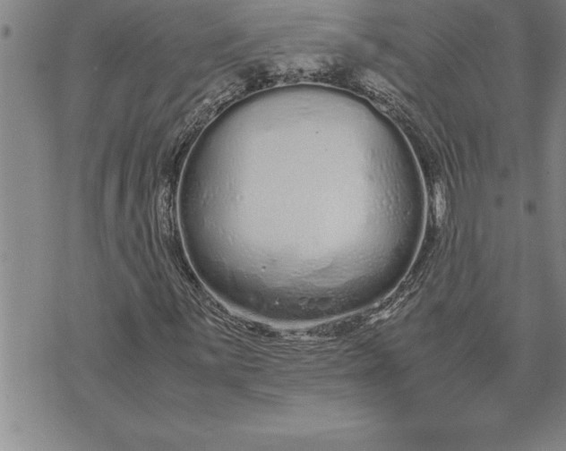 X0000071831059200607141655