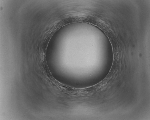 X0000071831061200607141654