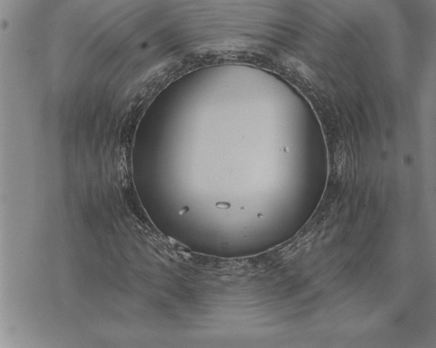 X0000071831062200607141654