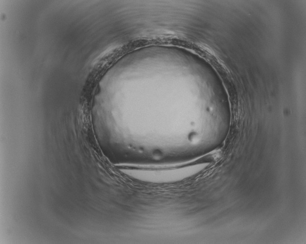 X0000071831063200607141654