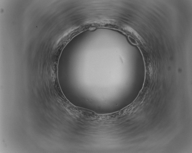 X0000071831064200607141654