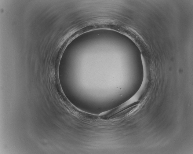 X0000071831065200607141654