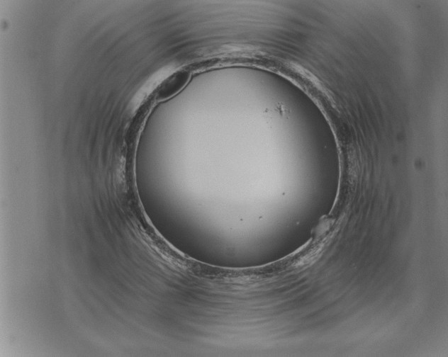 X0000071831066200607141654