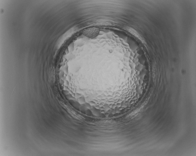 X0000071831067200607141654