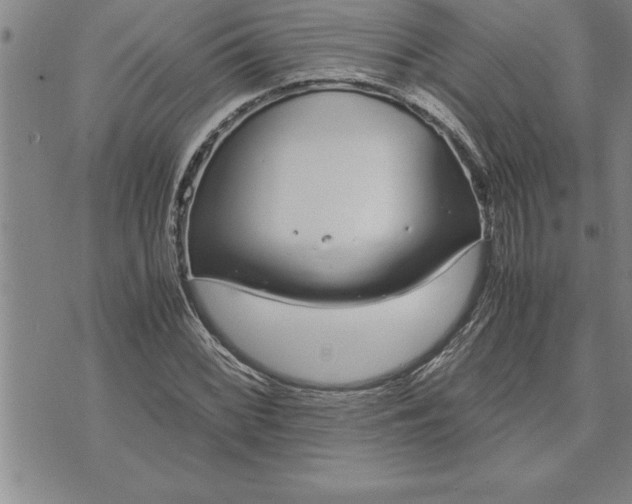 X0000071831068200607141654