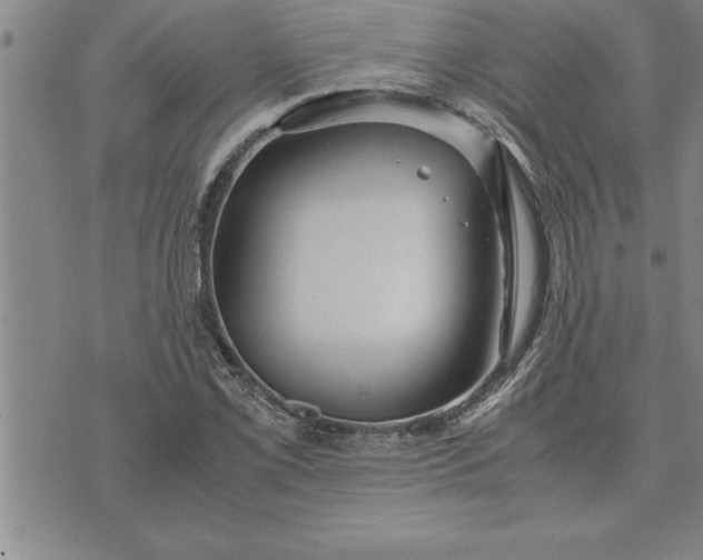 X0000071831069200607141654